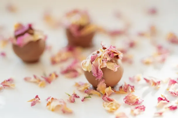 Casino Palm Slots Android/iOS App